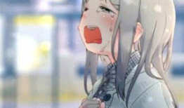 哭泣动漫,哭泣动漫的感人瞬间