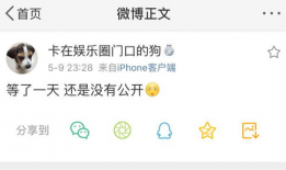 qq吃瓜爆料免费最新免费,QQ吃瓜爆料免费最新动态，带你领略网络热点风云